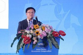 小笨鸟跨境电商平台还在吗 小笨鸟网络跨境平台