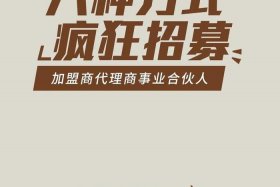 电商渠道运营（电商渠道运营合伙人招募ppt）