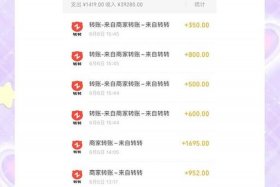 转转电商平台靠谱吗，转转是电商平台吗