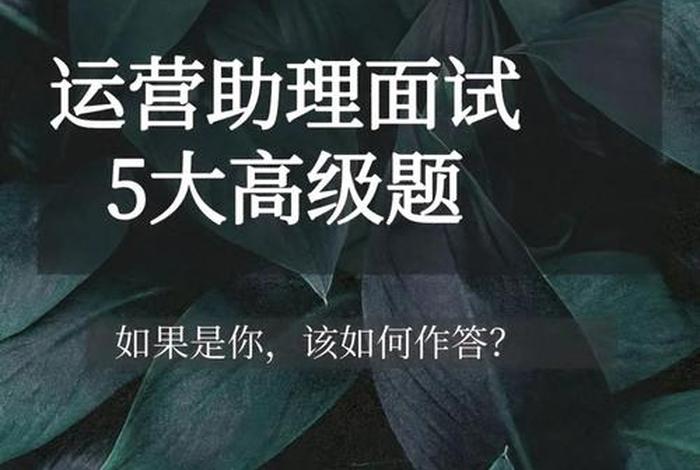 电商助理面试、电商助理面试常问的问题