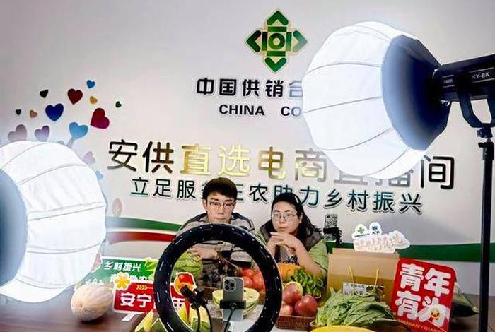 电商扶贫不是什么地把农产品搬到网上 - 电商扶贫针对什么产品