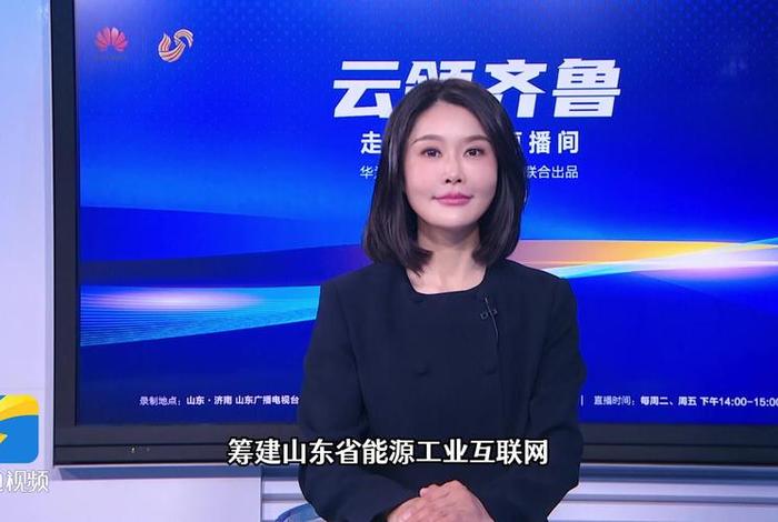 国网电商平台山东,国网电商平台山东有几家 国网电商平台山东,国网电商平台山东有几家