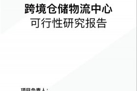 上海跨境电商综合试验区（上海跨境电商综合试验区可行性研究论文）