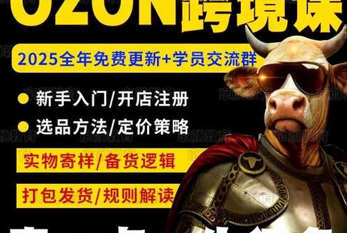 电商教程 - 电商教程视频教程