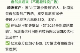 电商seo优化是什么意思，电商中seo是指什么意思