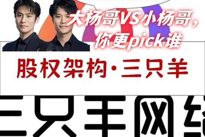 电商小杨 电商小杨哥是谁