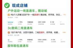 电商开直通车是什么意思，电商直通车怎么开