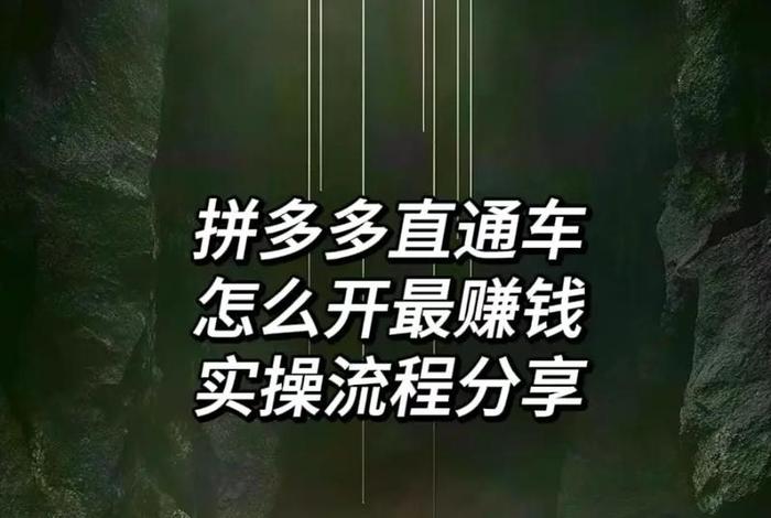 如何做电商新手入门拼多多 - 如何做电商新手入门拼多多赚钱 如何做电商新手入门拼多多 - 如何做电商新手入门拼多多赚钱