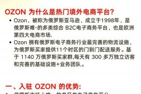 俄罗斯ozon入驻条件、俄罗斯电商平台ozon入驻条件