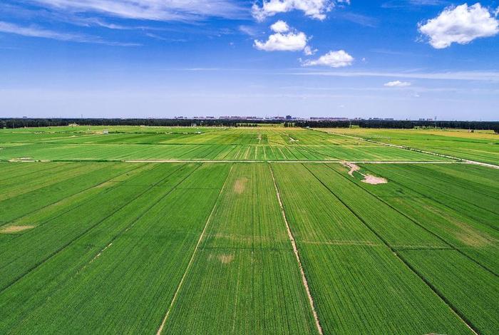 电商农业PPT背景图、电商农业ppt背景图