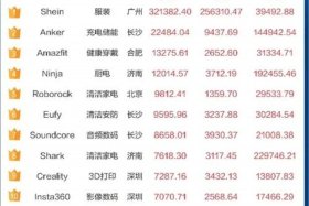 电商中国第一，中国电商排名第一人