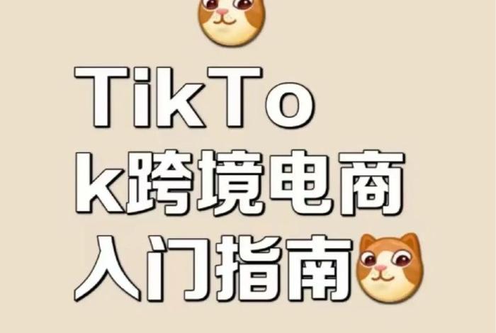 tiktok跨境电商平台介绍 - TikTok跨境电商平台介绍PPT tiktok跨境电商平台介绍 - TikTok跨境电商平台介绍PPT