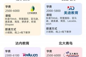 跨境电商培训机构排名 - 跨境电商培训机构排名前十名