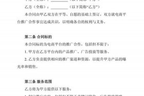 怎样线下推广电商平台、怎样线下推广电商平台呢