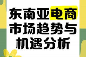 东南亚电商代运营、东南亚跨境电商代运营