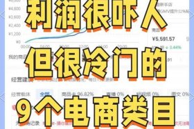 利润很吓人10个冷门电商 高利润冷门行业