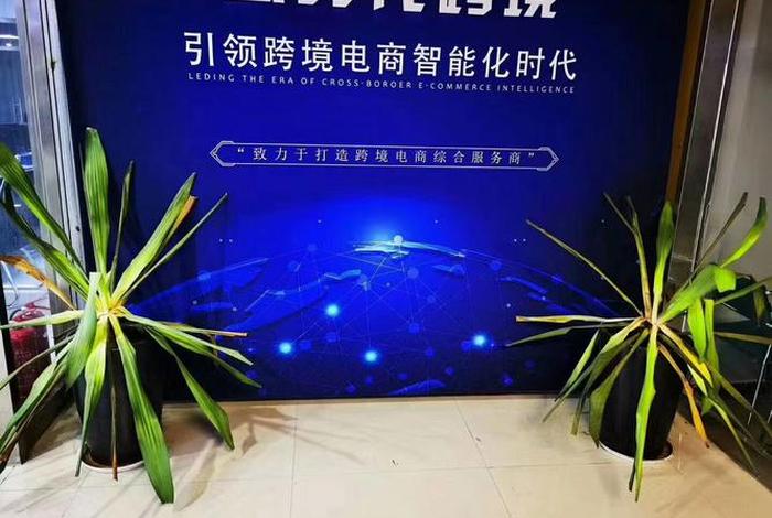 跨境电商分析师靠谱;跨境电商师傅 跨境电商分析师靠谱;跨境电商师傅