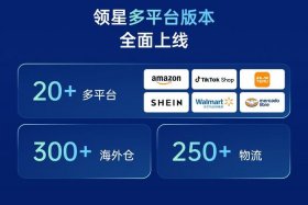 erp跨境电商的客户（erp跨境电商的客户有哪些）