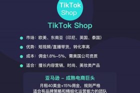 国内电商和跨境电商哪个好做 国内电商和跨境电商哪个好做一些