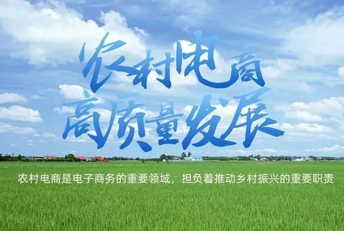 发展电商助力乡村振兴 - 发展农村电商促进乡村振兴 发展电商助力乡村振兴 - 发展农村电商促进乡村振兴