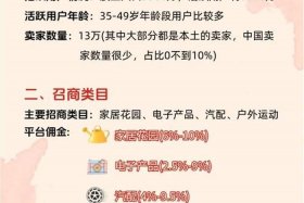 波兰跨境电商平台 - 波兰跨境电商平台Allegro店铺多少钱