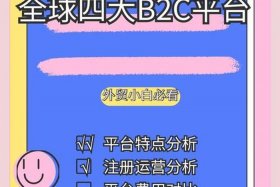 跨境电商多边平台比双边平台的优缺点；跨境电商多边平台比双边平台的优缺点是什么