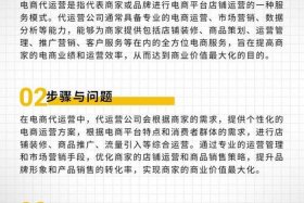 代运营电商公司是做什么的 代运营电商公司是做什么的呢