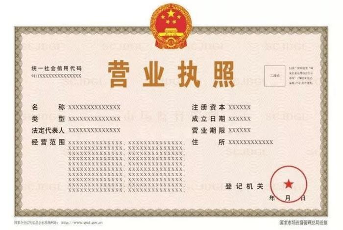 跨境电商营业执照组织形式怎么填、跨境电商营业执照组织形式怎么填写