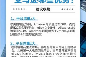亚马逊电商平台是什么意思啊、亚马逊电商平台是什么意思啊知乎