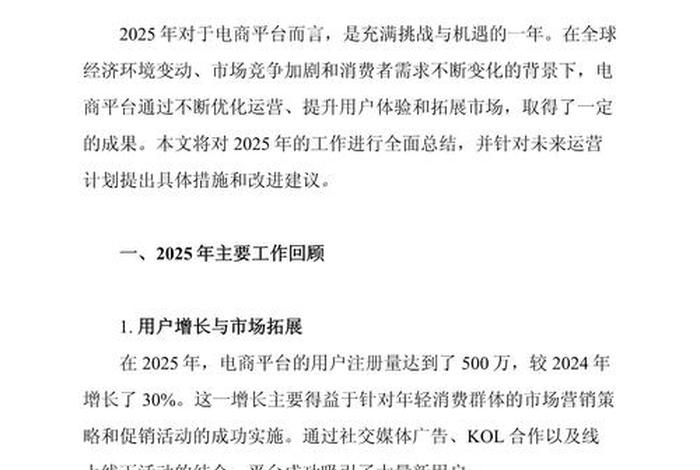 电商运营年终报告、电商运营年终报告范文