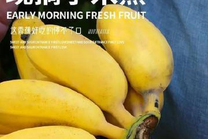 达漫电商平台官网入口;达漫电商平台官网入口网址 达漫电商平台官网入口;达漫电商平台官网入口网址