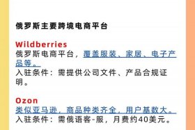 俄罗斯跨境电商有哪些；俄罗斯跨境电商有哪些网站