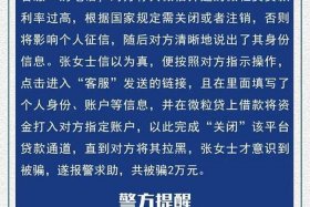 电商贷骗局 - 电商贷款的渠道