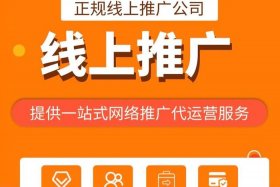 电商推广代运营 电商运营推广是做什么