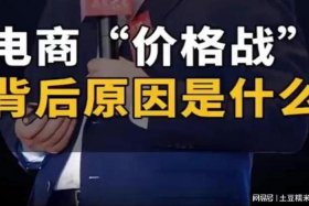 电商价格战视频，电商的价格战