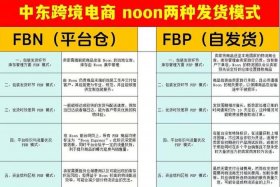 noon中东跨境电商哪个平台最好（中东跨境电商有哪些平台）