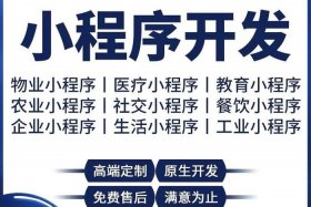 电商小程序开发定制哪家好 - 电商小程序开发哪个好