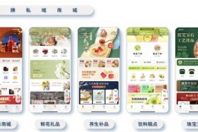 电商平台app定制开发，电商平台app定制开发流程