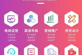 东东电商运营 京东 电商运营