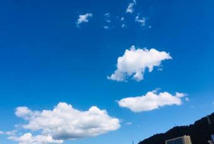 吴迪迪电商业务详情(吴迪电子商务有限公司) 吴迪迪电商业务详情(吴迪电子商务有限公司)