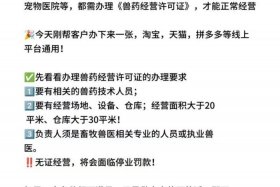 药品电商运营主要做什么 药品电商运营主要做什么工作