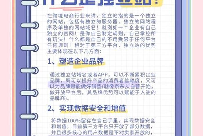 电商独立站推荐，独立站大卖家