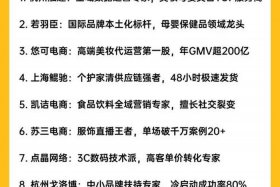 中国十大电商服务商排名，中国十大电商服务商排名榜