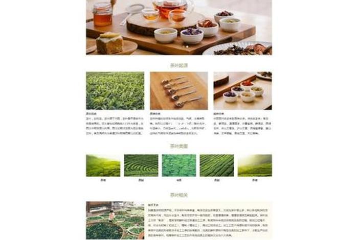 茶叶电商网、茶叶电商网站 茶叶电商网、茶叶电商网站