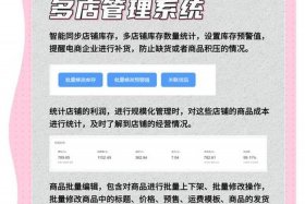 电商erp软件有哪些平台（电商erp软件有哪些平台可以用）