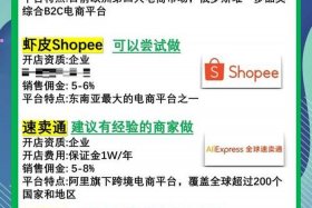跨境电商新手卖家怎么根据自身条件选择平台、一般的跨境电商卖家会如何选择平台