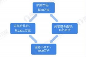 农村电商市场现状分析（农村电商的市场现状）