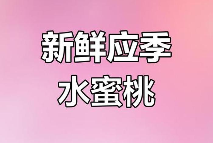 桃子平台官方网站(桃子手游平台官方网站) 桃子平台官方网站(桃子手游平台官方网站)