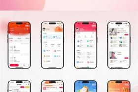 源电商业版 - 电商源码是什么意思