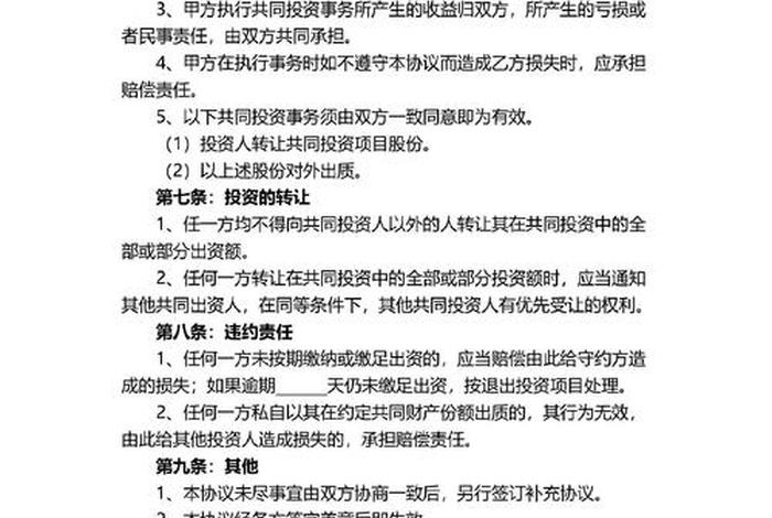 电商项目投资协议;电商项目投资协议书 电商项目投资协议;电商项目投资协议书